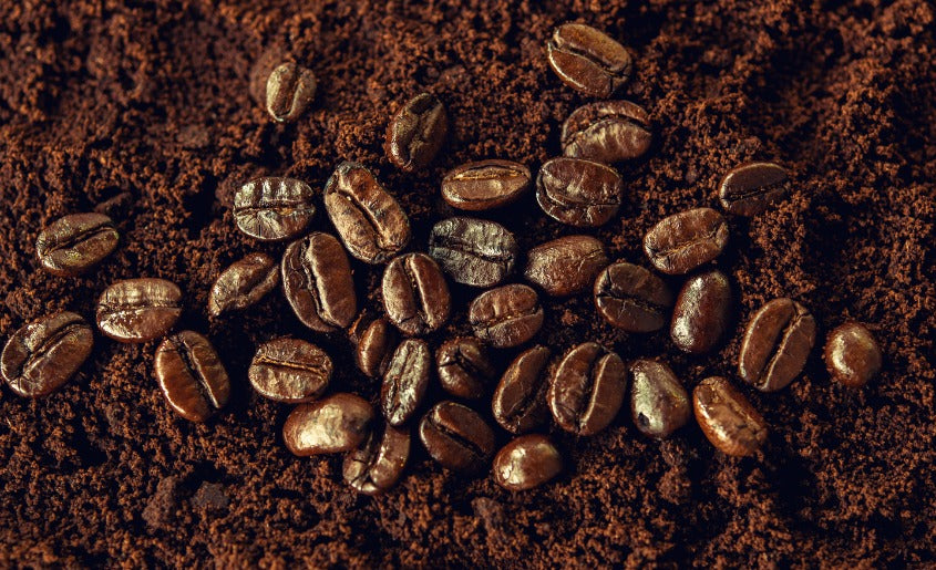 Coffee Ground4