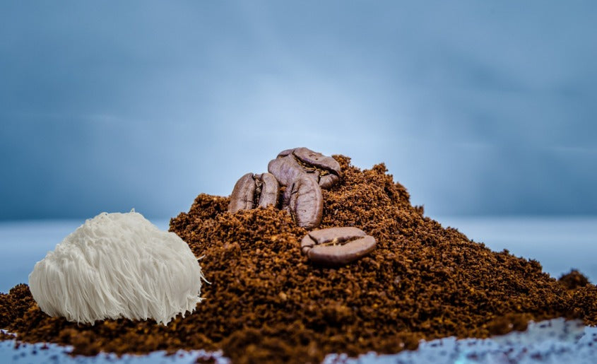 Coffee Ground With Lions Mane