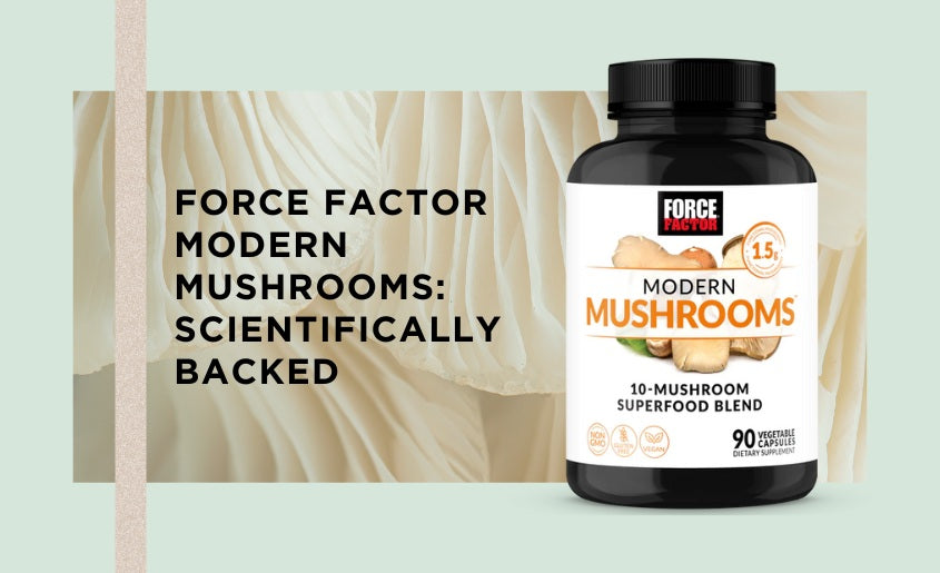 FORCE FACTOR Modern Mushrooms Best Mushroom Supplements UK