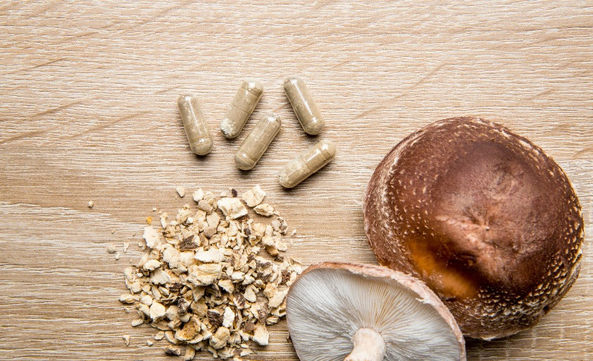 Factors to Consider When Selecting a Mushroom Supplement