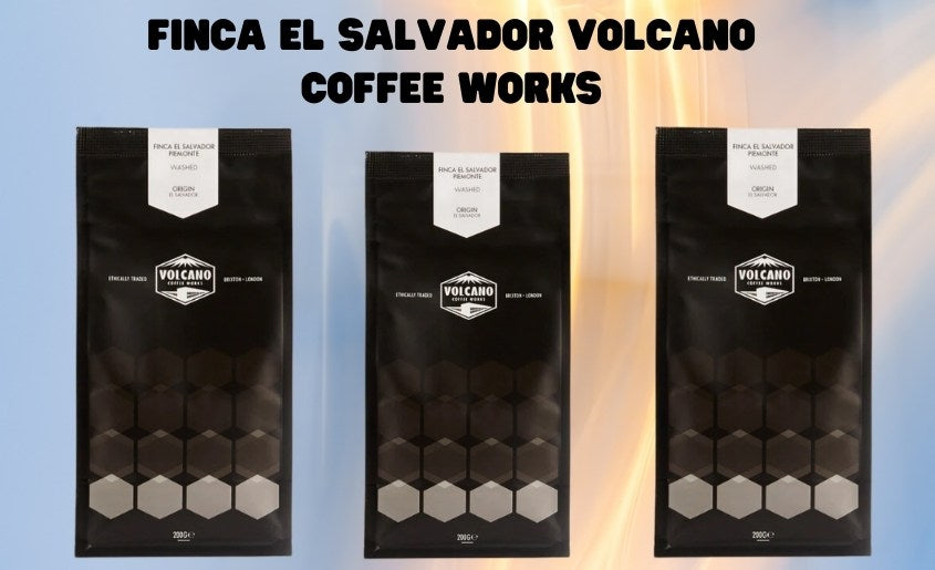 Finca El Salvador volcano coffee works
