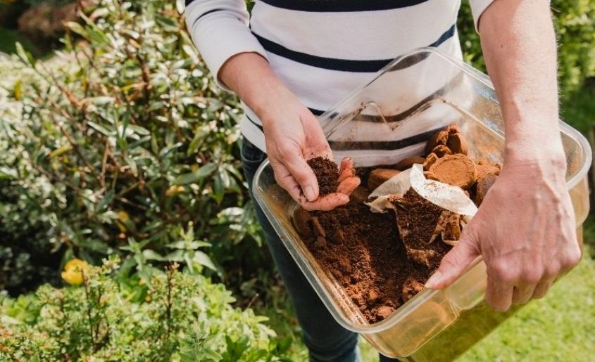 Plants and Fertiliser from coffee