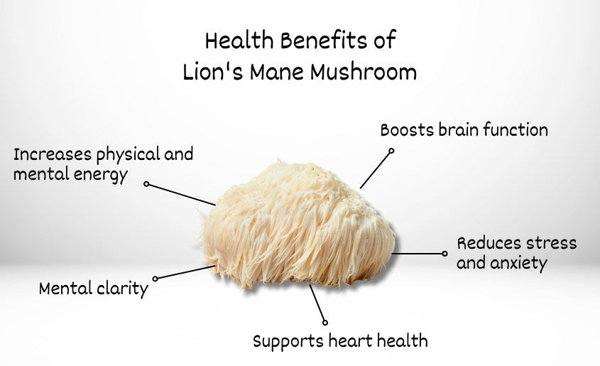 Lion's Mane Coffee's Health Benefits