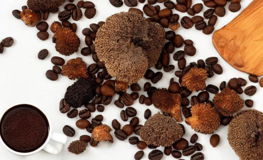 Lion’s Mane Mushroom Coffee Grounds (2)