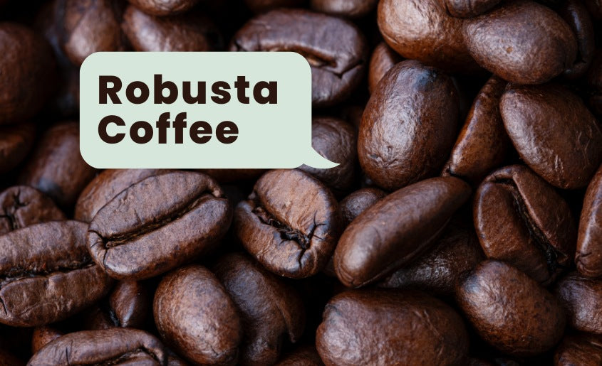 Robusta Coffee