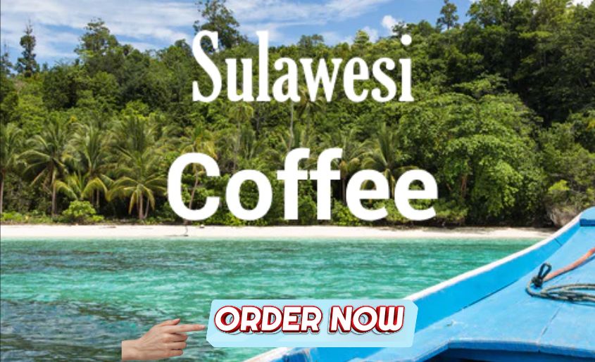 Sulawesi Kalossi by Volcanica Coffee