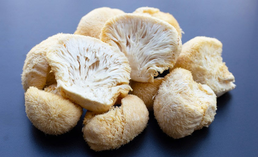 What is Lion’s Mane Mushroom Coffee?