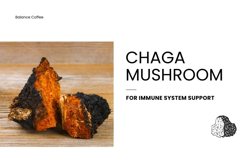 What is the best mushroom coffee Chaga