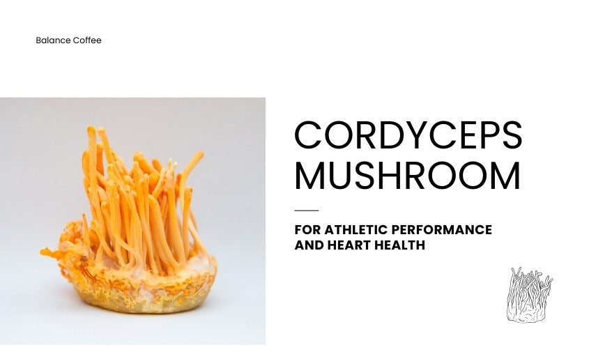 What is the best mushroom coffee Cordyceps