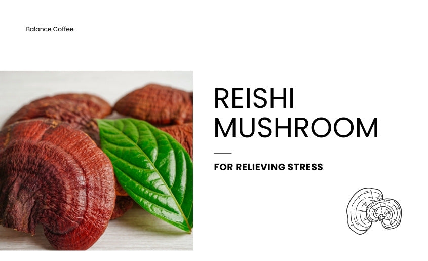 What is the best mushroom coffee Reishi
