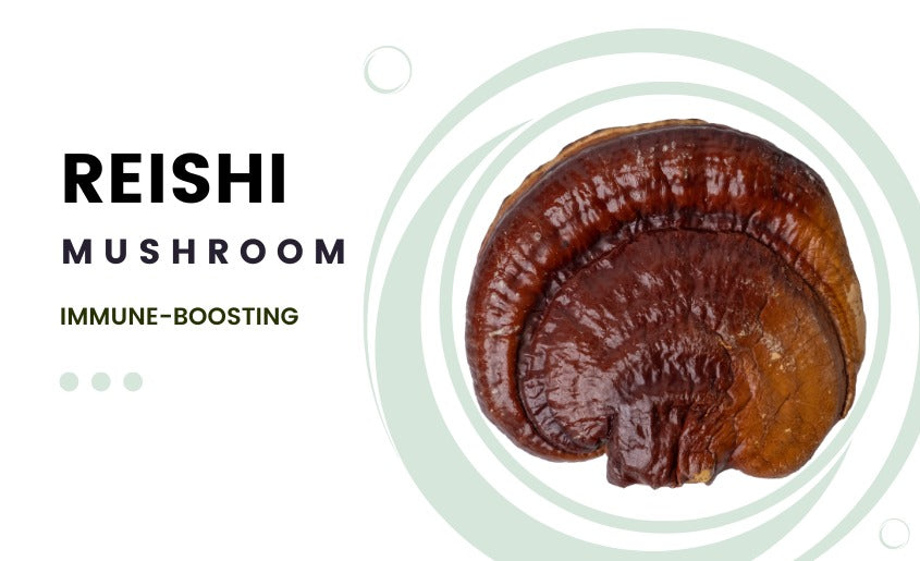 reishi