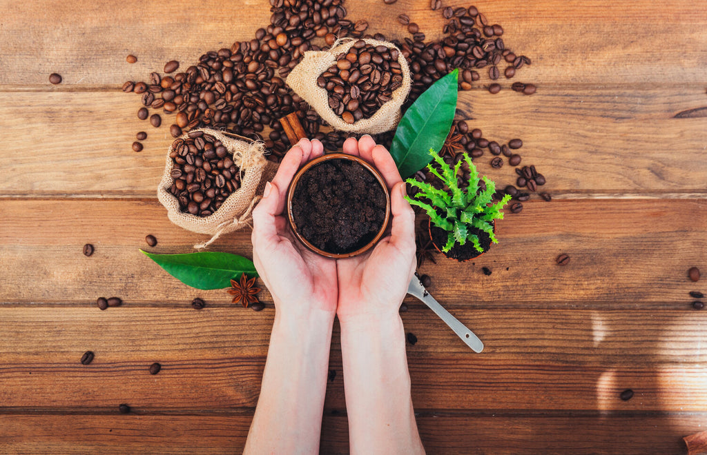 exfoliate and clean your skin with coffee grounds