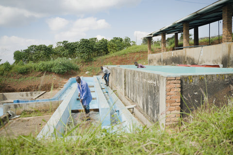 Shema Washing Station by Good Human