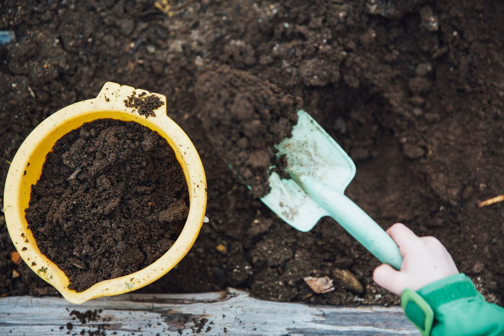 use coffee grounds in great compost