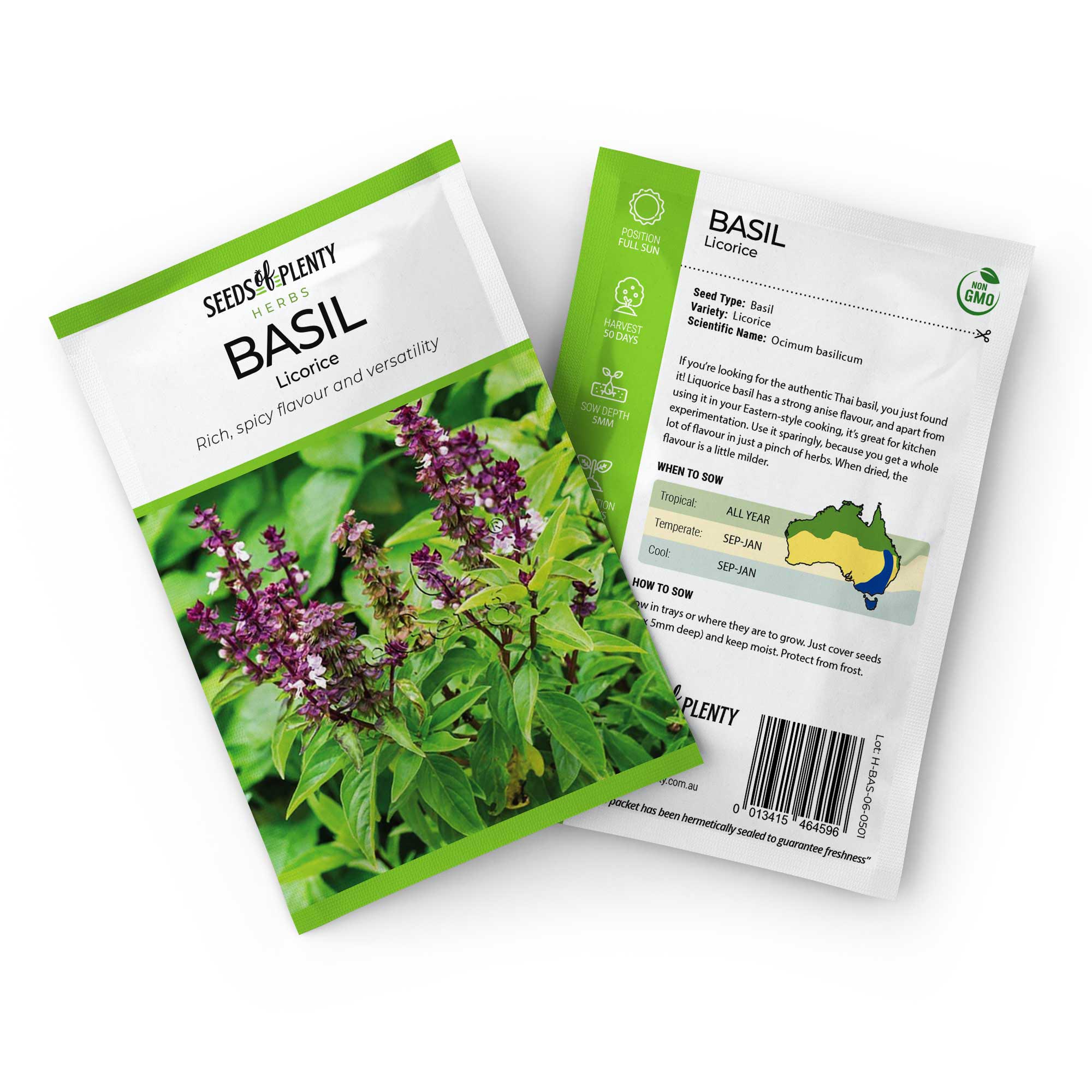 BASIL Lime Buy Online at Seeds Of Plenty Seeds of Plenty