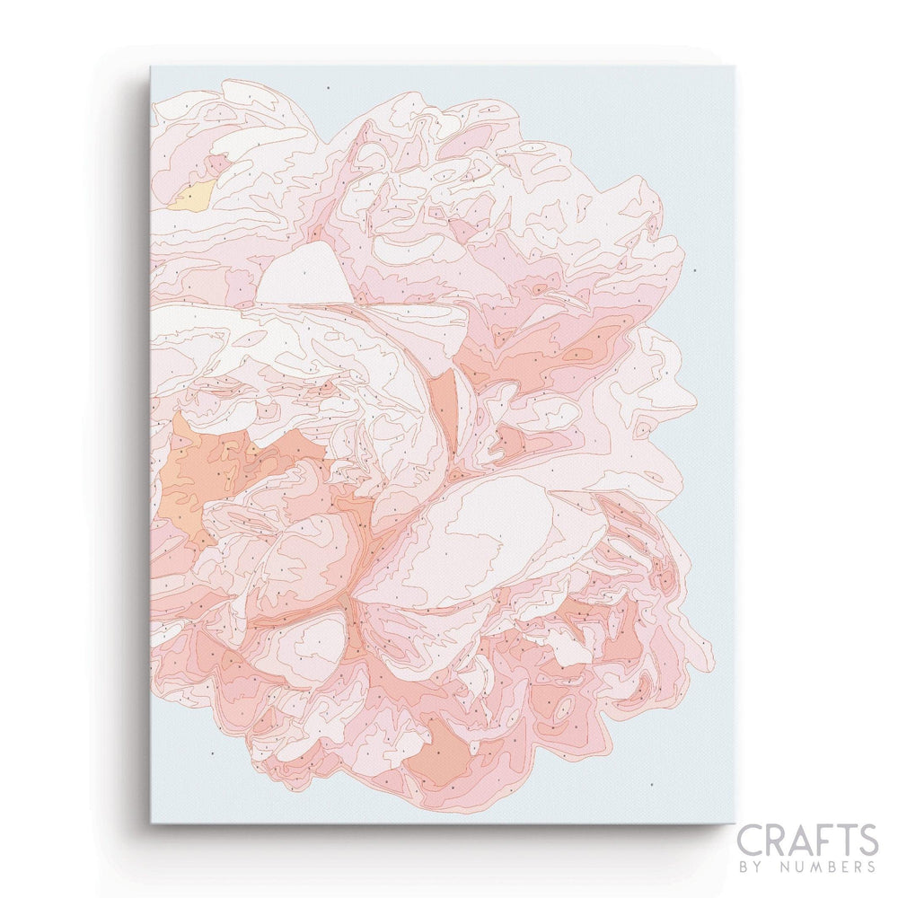 Pink Flowers Paint By Numbers Kit