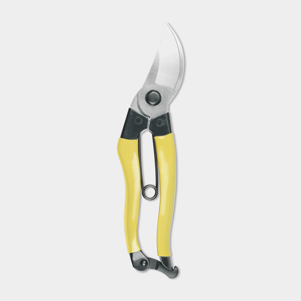 https://cdn.shopify.com/s/files/1/0660/8715/products/niwakimainichisecateurs_1000x1000.jpg?v=1610556634