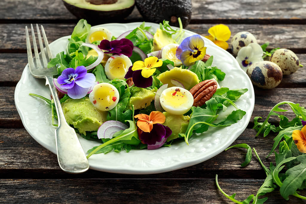 Dillmannin Syötävät kukat siemenlaatikosta kasvatetut kukat kaunistamaan salaattilautasta!