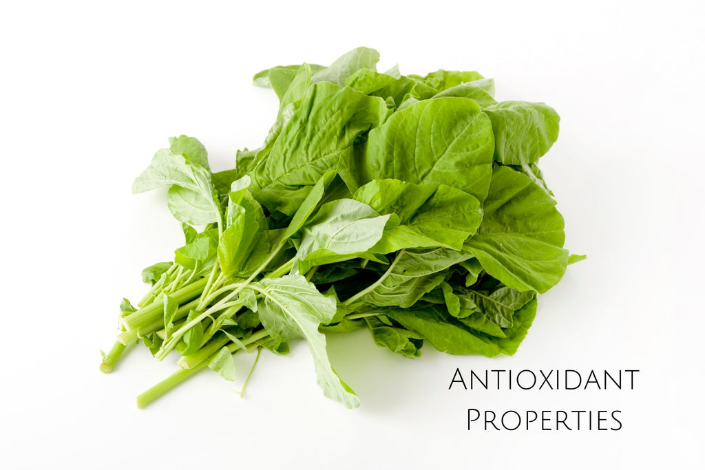 Antioxidant Properties