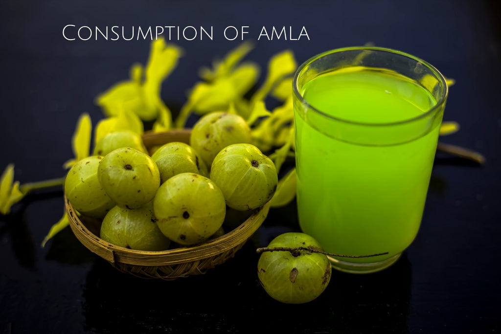 consumption of Amla