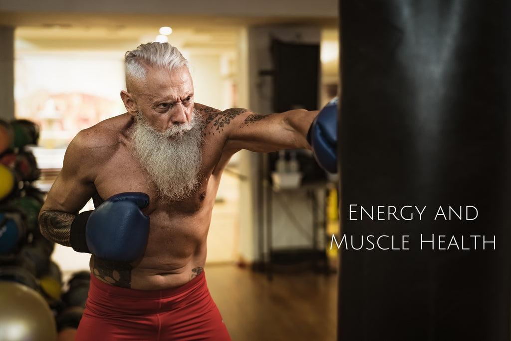Energy and muscle health