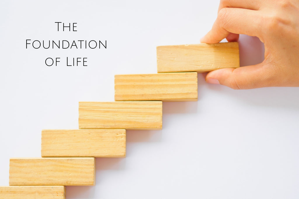 The Foundation of Life