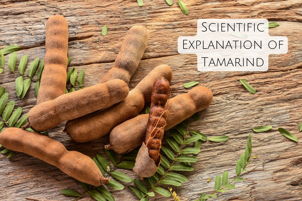 Scientific Explanation of tamarind