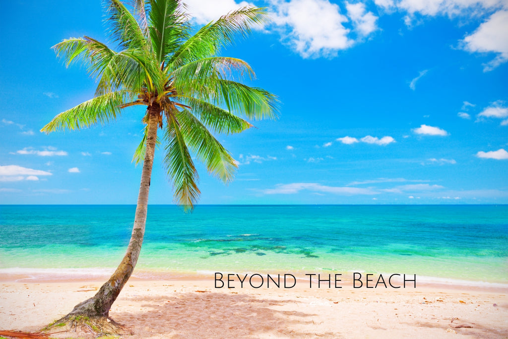 beyond beach