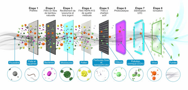 La méthode de purification de l'air en 8 étapes d'Eoleaf