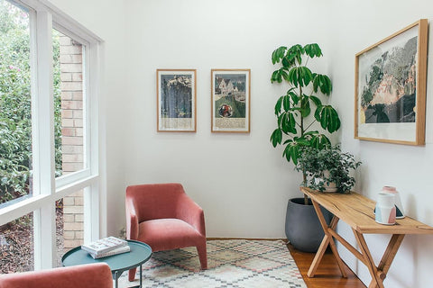 A living room with a tall houseplant