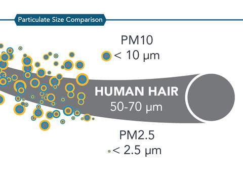 A diagram showing the difference in sizes between PM10, human hair, and PM2.5