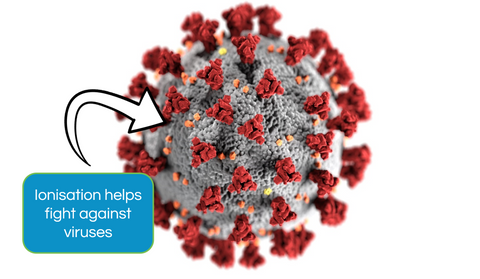 Virus molecule