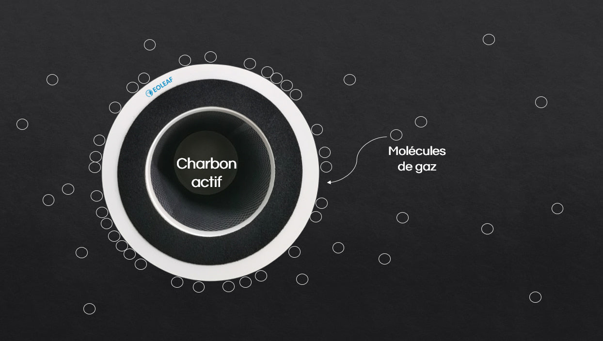 Le processus d'adsorption du charbon actif