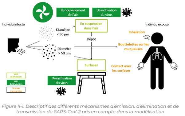 Descriptif des différents méchanismes d'émission, d'élimination et de transmission du SARS-CoV-2 pris en compte dans la modélisation