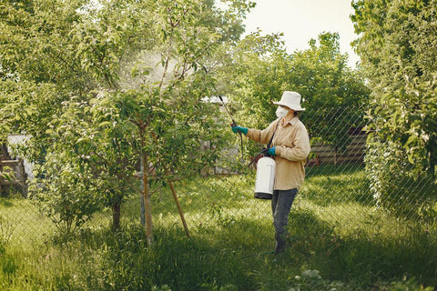 Femme pulvérisant des pesticides sur les arbres de son jardin