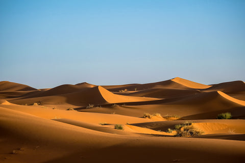Les dunes de sable vallonnées du Sahara