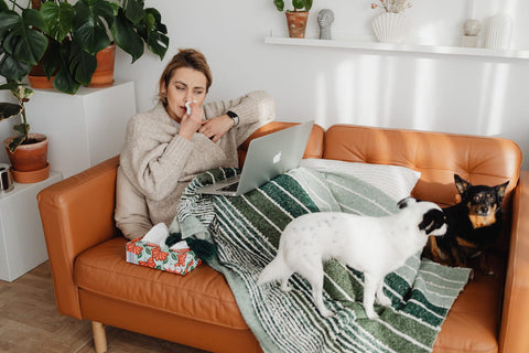 A woman blowing her nose on a couch with her two dogs