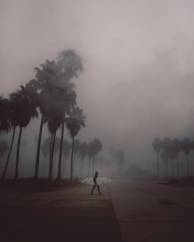A surfer walking across a polluted avenue lined with palm trees