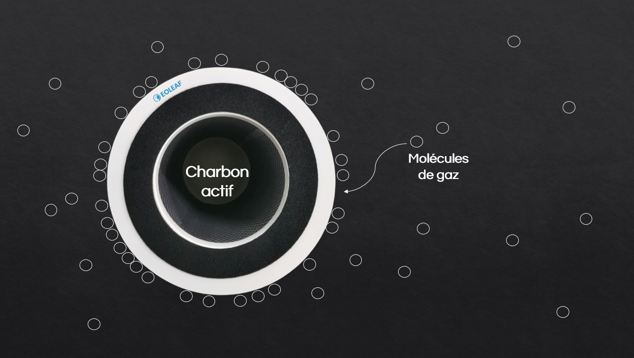 Les filtres au charbon actif : purifier par adsorption - Blog