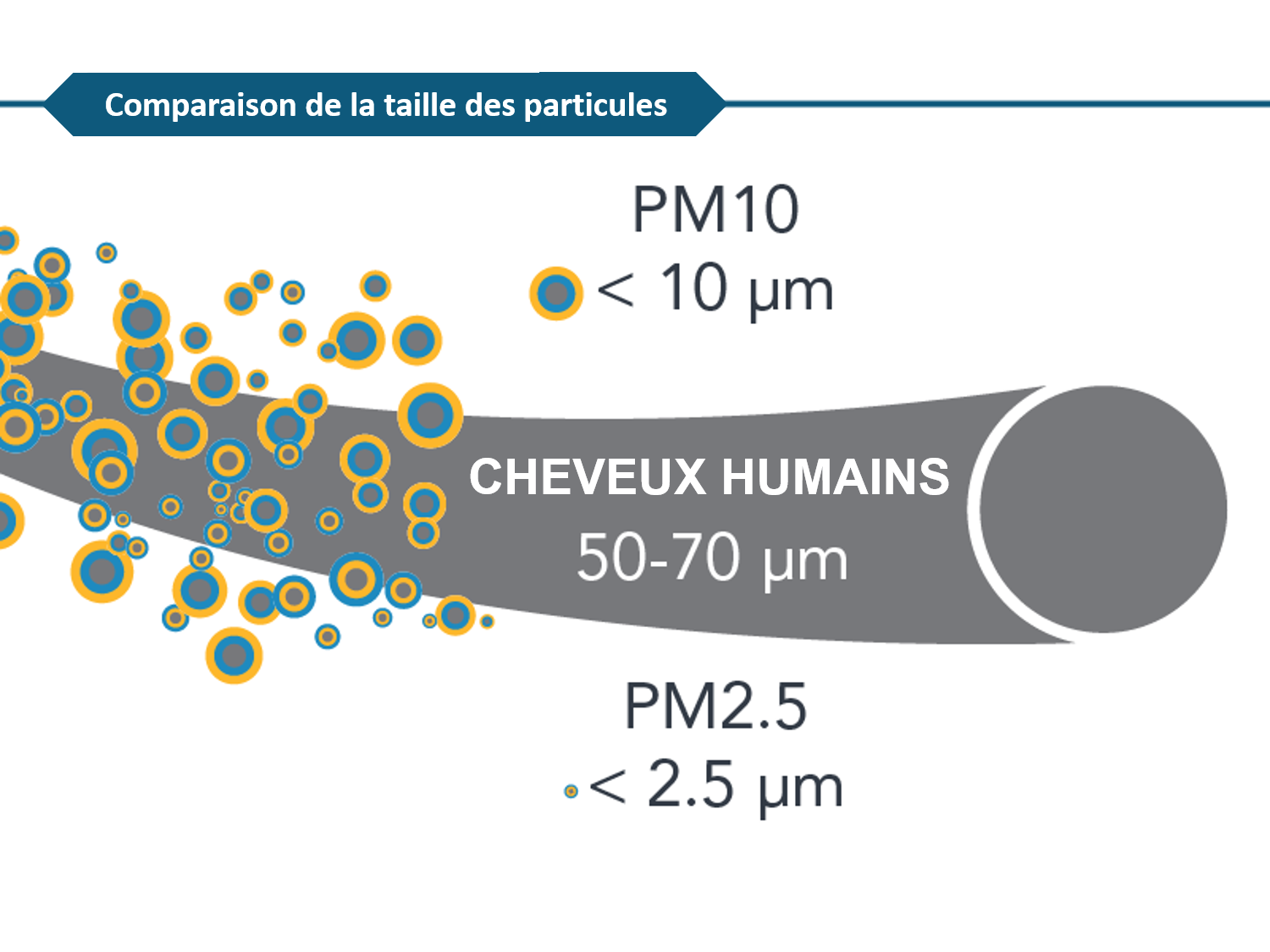 Un diagramme montrant la différence de tailles entre les PM10, les cheveux humains et les PM2,5