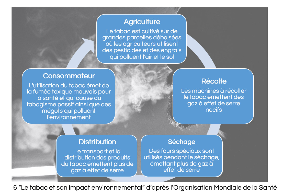 Graphique montrant les impacts de l'industrie du tabac à chaque niveau de production