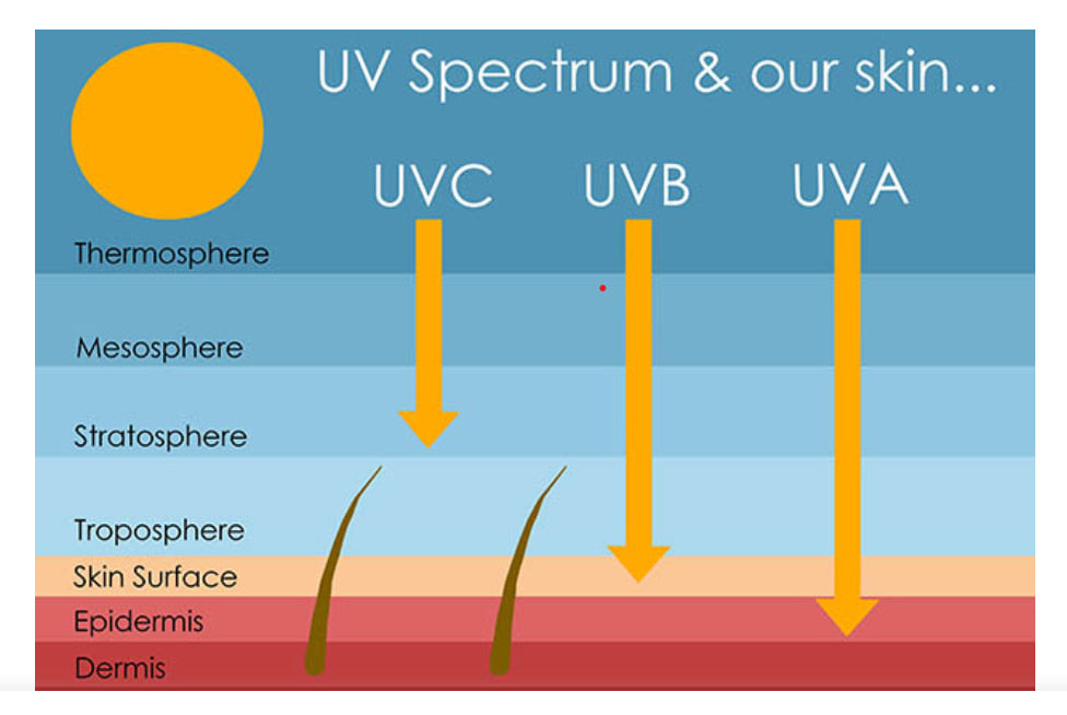L'impact du spectre UV sur notre peau