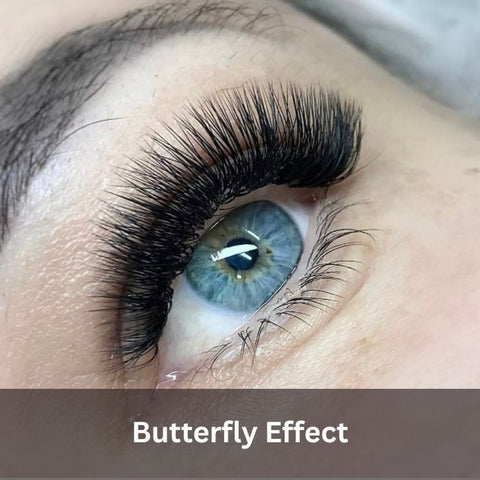 butterfly effect wimpernverlängerung schlupflider