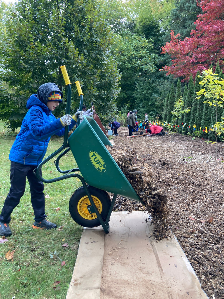 preparing the forest floor