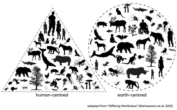 how do we shift from human-centred to earth-centred ways of thinking, feeling, being in the world