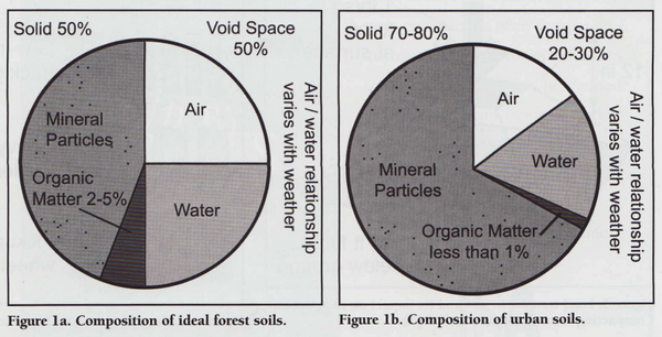 Comparison of ideal forest soils vs urban soils, James R. Urban