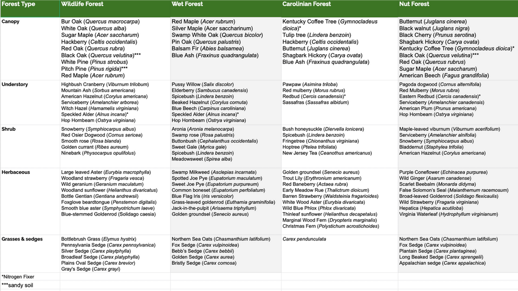 table with species lists for four types of pocket little forests 
