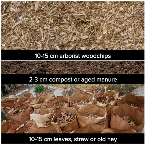preparing the forest floor: amending the soil with leaves, compost, woodchips