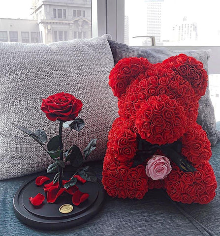 Teddy Bear Rose