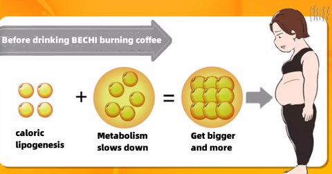 BECHI Instant Sugar-free Fat-Burning Coffee